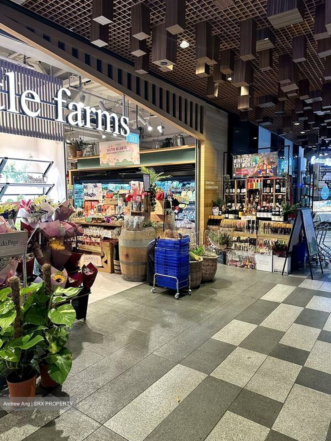 Serangoon Garden Village (D19), Shop House #521032931